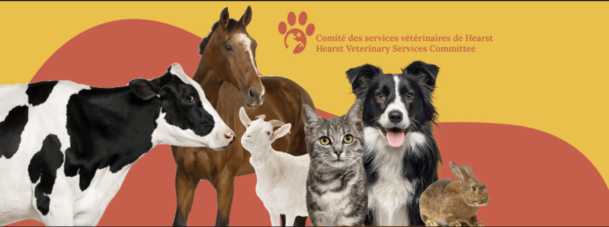   Logo : Comité des services vétérinaires de Hearst/Facebook
