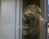   Photo : Jill Burrow/Pexels