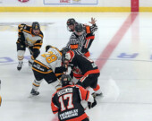   Photo : Lumberjacks/web