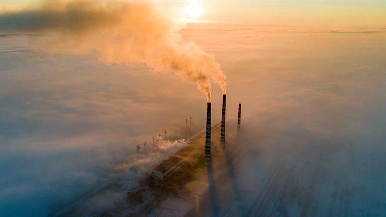  Photo : bilanol.i.ua | DepositPhotos.com