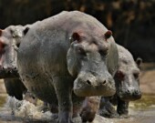  Photo : DepositPhotos