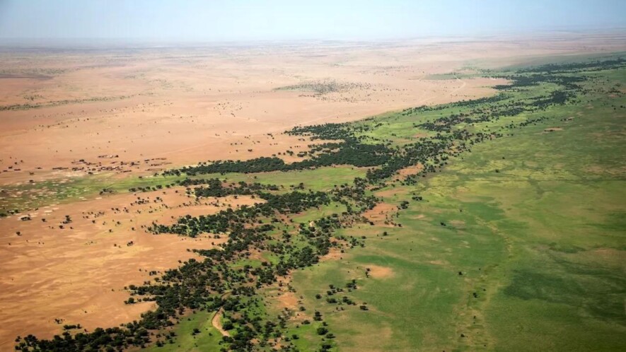 Arbres au seuil du désert, Mali  &mdash; Photo : Nations unies