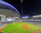   Photo : MLB/web