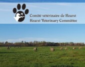   Photo : Comité des services vétérinaires de Hearst/Facebook