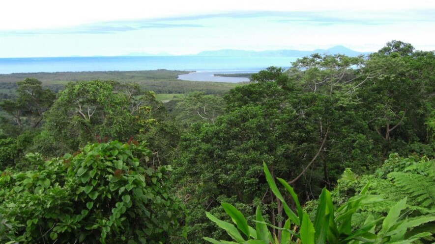 Forêt Daintree, Australie &mdash; Photo : Dinkum / Wiki Commons / CC0