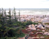 Churchill, Manitoba, au bord de la baie d'Hudson &mdash; Photo : GRID-Arendal / www.grida.no/resources/4434