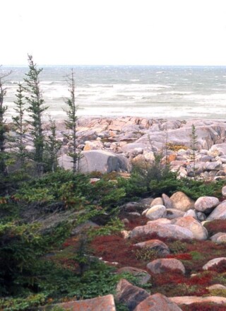 Churchill, Manitoba, au bord de la baie d'Hudson &mdash; Photo : GRID-Arendal / www.grida.no/resources/4434