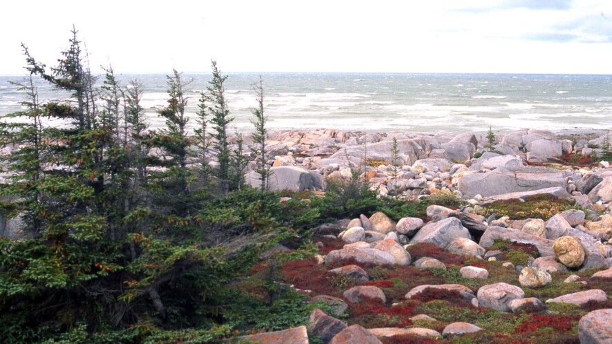 Churchill, Manitoba, au bord de la baie d'Hudson &mdash; Photo : GRID-Arendal / www.grida.no/resources/4434
