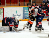   Photo : Lumberjacks/web