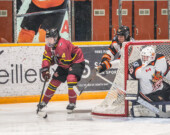   Photo : Lumberjacks/web