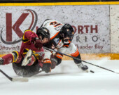  Photo : Lumberjacks/web