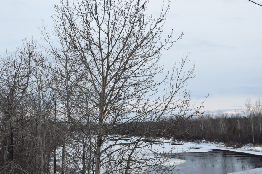 Le gouvernement de l’Ontario prévoit restructurer le réseau des offices de protection de la nature afin d’améliorer la gestion des bassins versants et la protection des collectivités. &mdash; Photo : Archives/Le Nord
