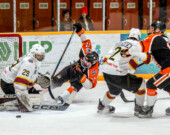   Photos : Lumberjacks/web