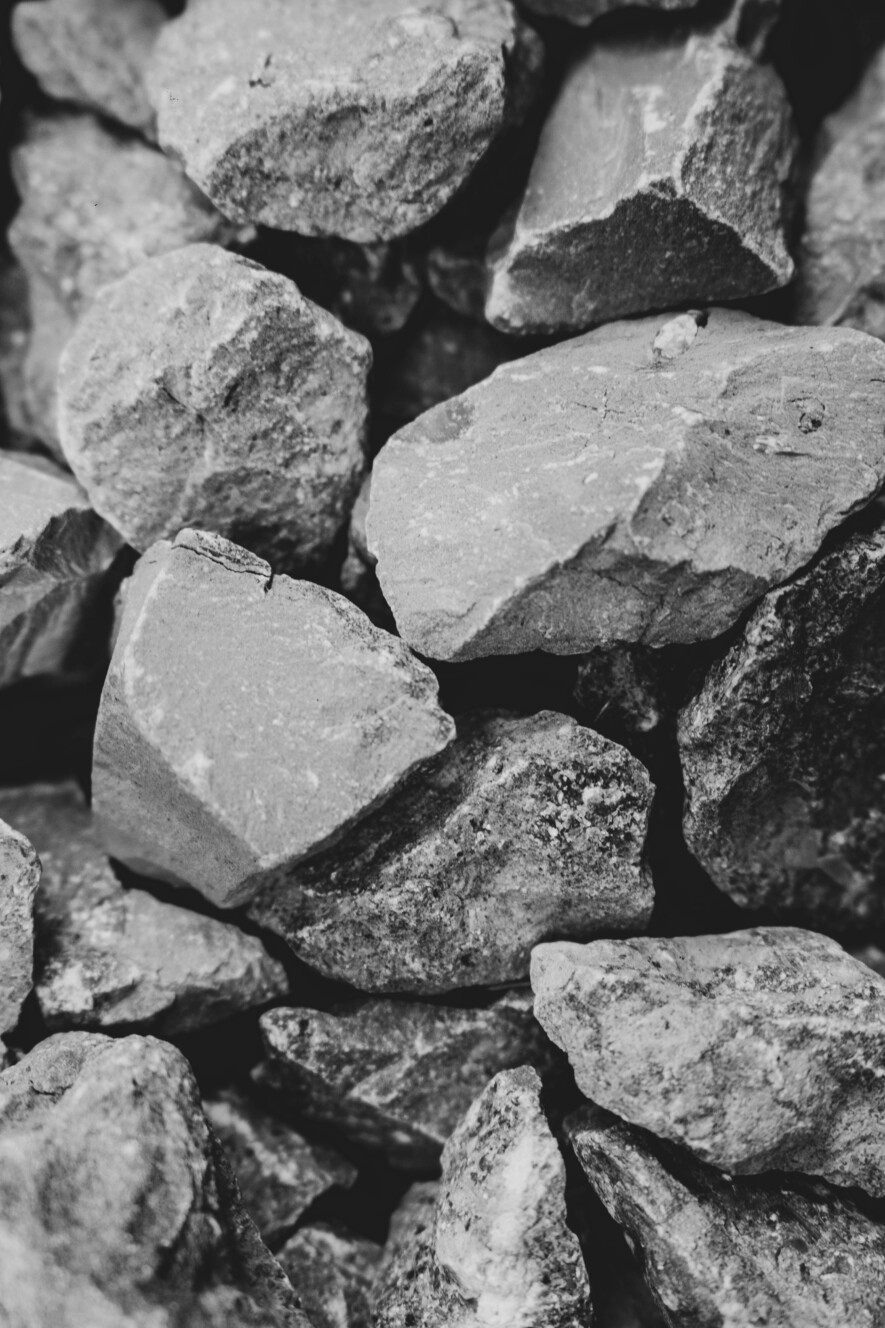   Photo : Marc Vergeire/Pexels
