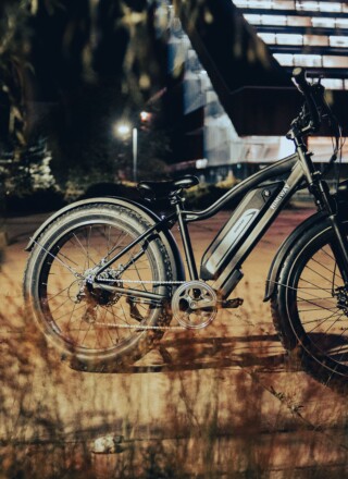   Photo : Erik Mclean/Pexels