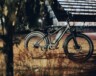   Photo : Erik Mclean/Pexels