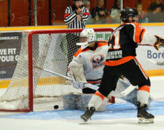   Photo : Lumberjacks/web