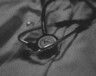   Photo : Abdulai Sayni/Unsplash