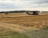 Dans certaines parcelles, Simon Coutier a récolté 2,5 tonnes à l’acre. &mdash; Photo de courtoisie