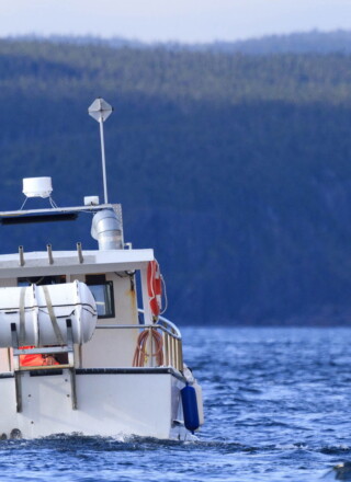 Pleasure vessel steaming towards land.  