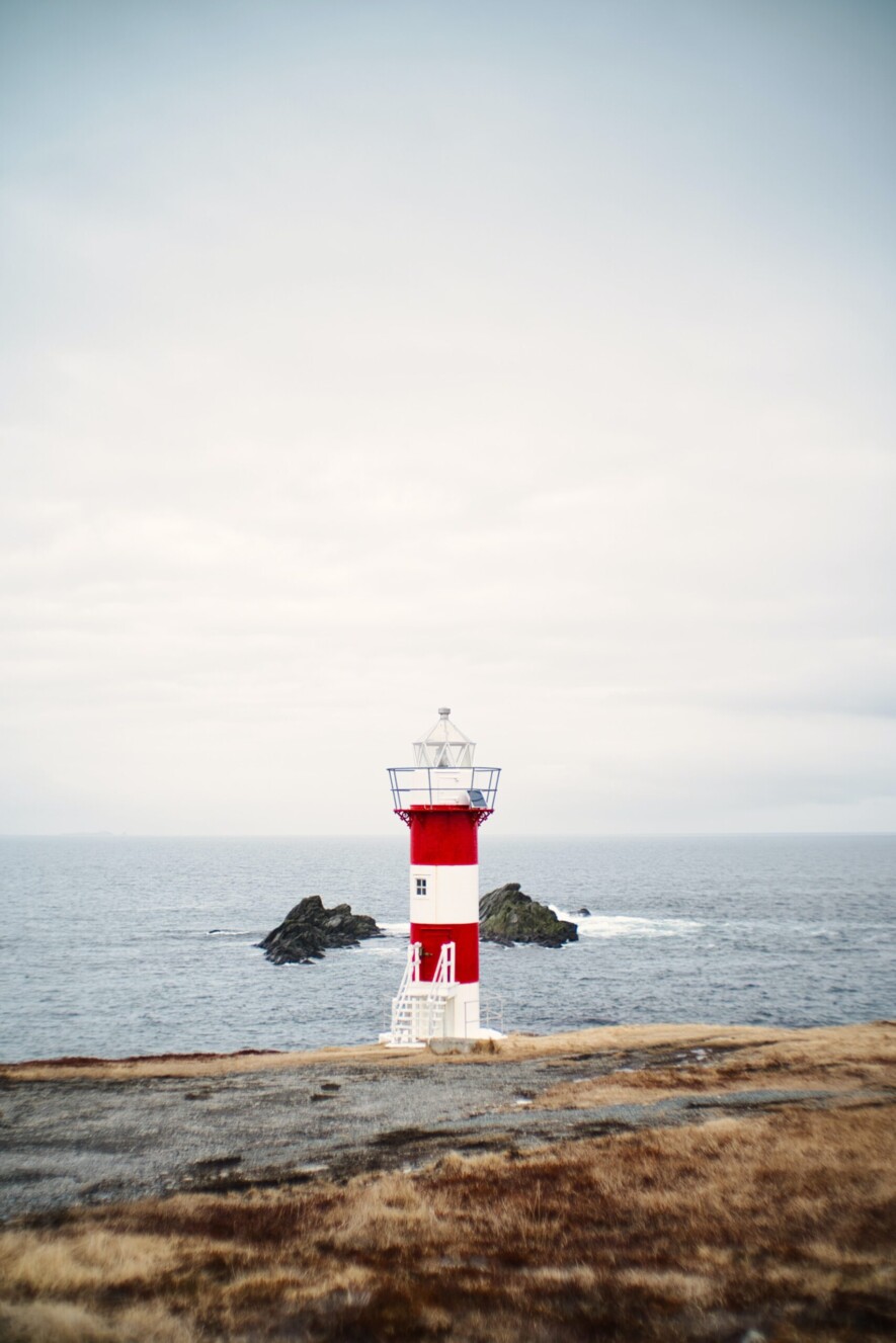 Photo: Gurpreet Singh (Unsplash)  