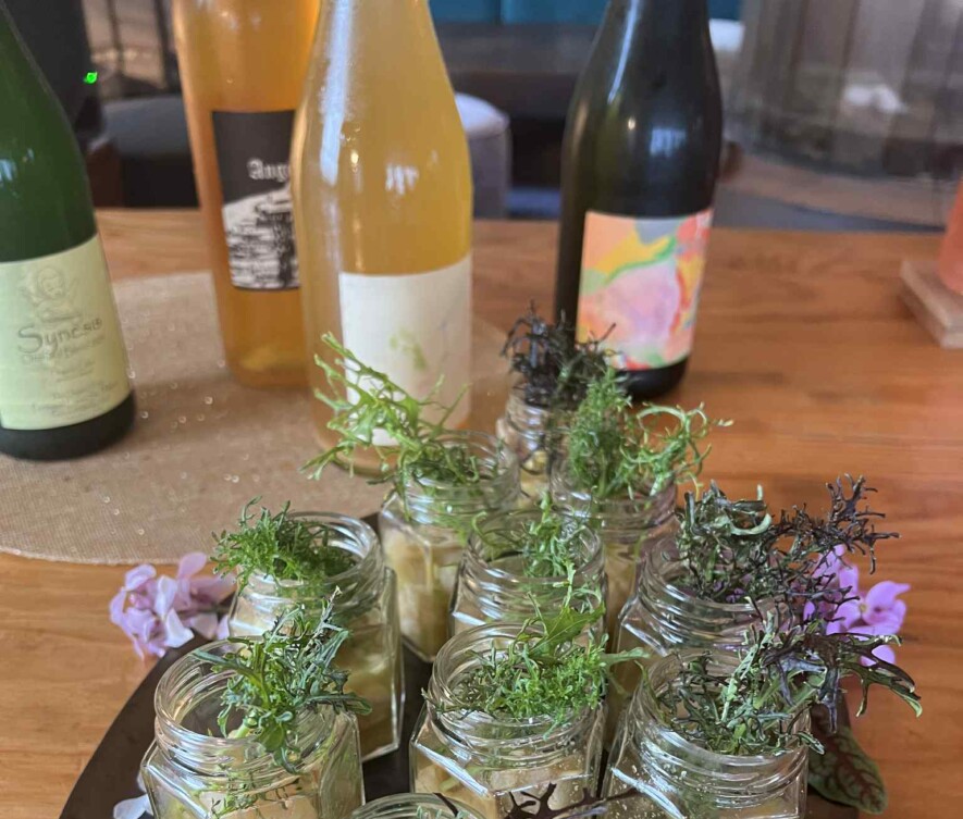 L'événement «Incider», organisé par le Café des Doc’s et la Distillerie du Goéland, a fait venir la cidrerie Mauzy à l'archipel de Saint-Pierre-et-Miquelon. — Sophie Jalton (Courtoisie)