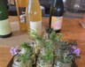 L'événement «Incider», organisé par le Café des Doc’s et la Distillerie du Goéland, a fait venir la cidrerie Mauzy à l'archipel de Saint-Pierre-et-Miquelon. — Sophie Jalton (Courtoisie)