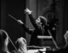 Simon Rivard en plein action avec l’Orchestre classique de Montréal. — Brent Calis (Courtoisie)