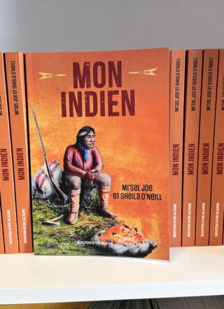 La librairie de Breakwater Books, située sur Duckworth Street, dispose de toute une section consacrée à la littérature jeunesse en français sur ses étagères, notamment Mon Indien et d'autres livres publiés par les éditions Bouton d'or Acadie. — Cody Broderick