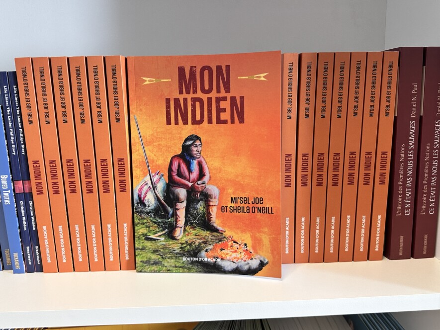La librairie de Breakwater Books, située sur Duckworth Street, dispose de toute une section consacrée à la littérature jeunesse en français sur ses étagères, notamment Mon Indien et d'autres livres publiés par les éditions Bouton d'or Acadie. — Cody Broderick