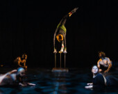 Aly Keita de Kira Arts a présenté le spectacle Altération le 4 octobre à St. John’s dans le cadre du Festival de la Nouvelle Danse. — Courtoisie