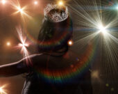   Photo : Shutterstock