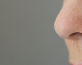   Photo : Shutterstock