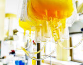   Photo : Shutterstock