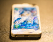   Photo : Shutterstock