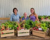 Lise et Kyana de l’équipe potager de la Maison verte, en compagnie de leur collègue Sylvie, prêtes à la distribution des paniers de La Maison Verte. &mdash; Photos : Facebook