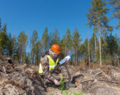   Photo : Shutterstock