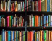 Dégoter des livres en français en milieu francophone minoritaire est loin d’être évident. Les experts s’entendent pourtant sur l’importance de favoriser l’expérience littéraire dès le plus jeune âge pour lutter contre l’insécurité linguistique. &mdash; Crédit : Lubos Houska – Pixabay
