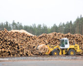   Photo : Shutterstock