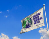   Photo : Shutterstock