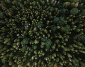   Photo de Olenka Sergienko provenant de Pexels