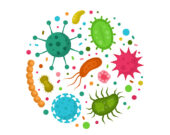   Image : Shutterstock