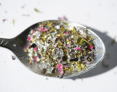 Les recherches sur les effets des microplastiques sur la santé humaine en sont encore à leurs débuts.  &mdash; Photo : European Commission (Lukasz Kobus)