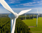   Photo : Shutterstock