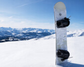   Photo : Shutterstock