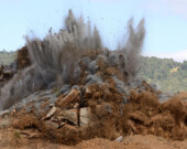   Photo : Shutterstock