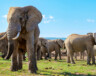   Photo : Shutterstock
