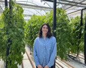 Sara Poliquin devant les plants de tomates. &mdash; Photos : facebook/lamaisonverte