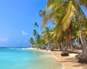   Photo: Shutterstock