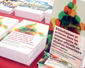 L’idée du livre Bibliothèques et archives dans les communautés de langue officielle en situation minoritaire : enjeux et devenirs est née lors d’un colloque organisé en 2020, en pleine pandémie. &mdash; Photo : Lê Hai Huong Vu – Francopresse